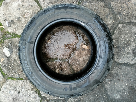 205/60R16 Hankook Winter Icept EVO 2 XL para opon zima 6,8mm nr6338