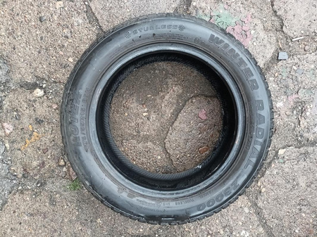 195/55R15 Rotex Winter Radial Z3000 para opon zima 6,9mm nr5574